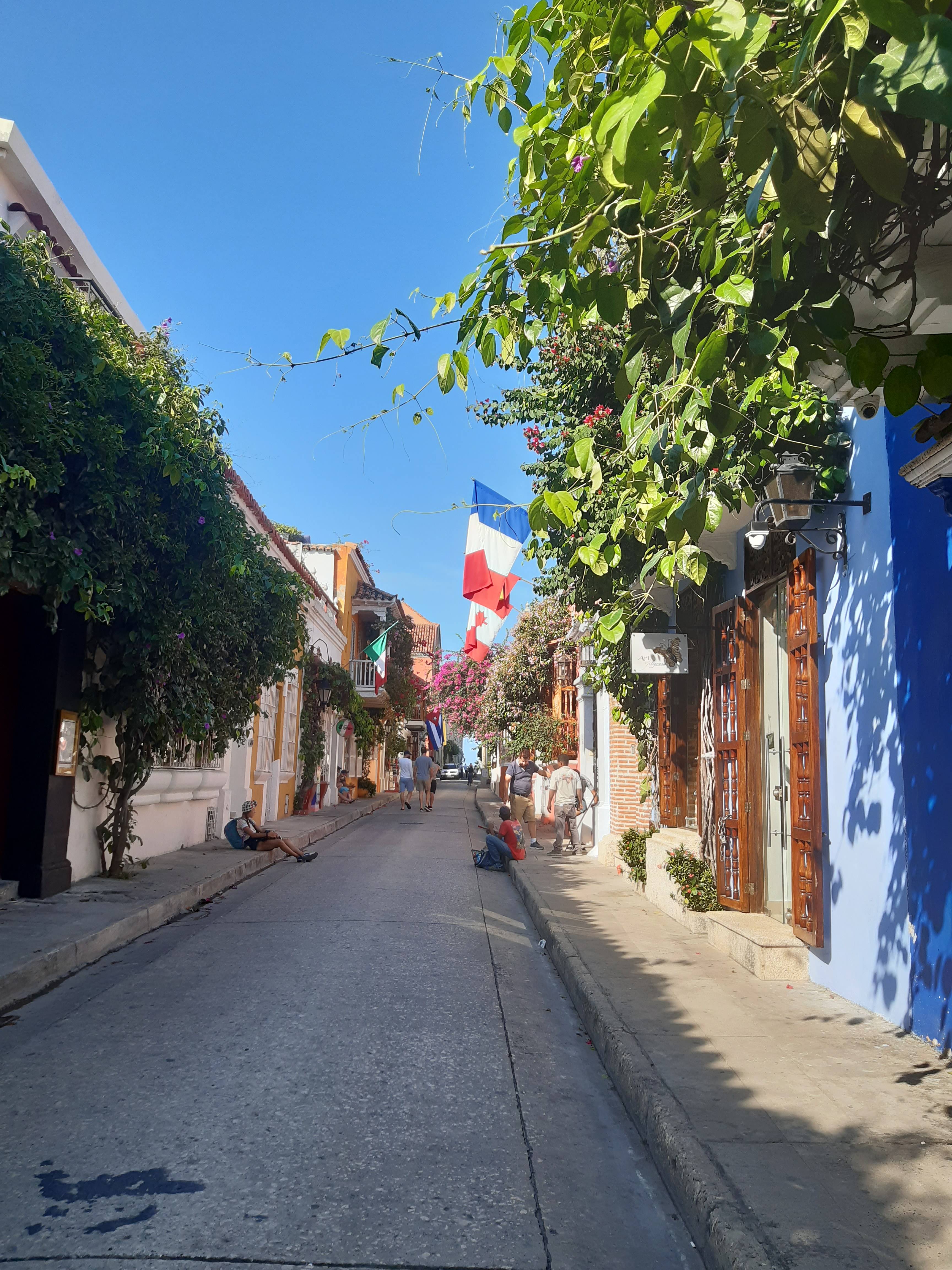 Calle angosta con casas coloridas y flores